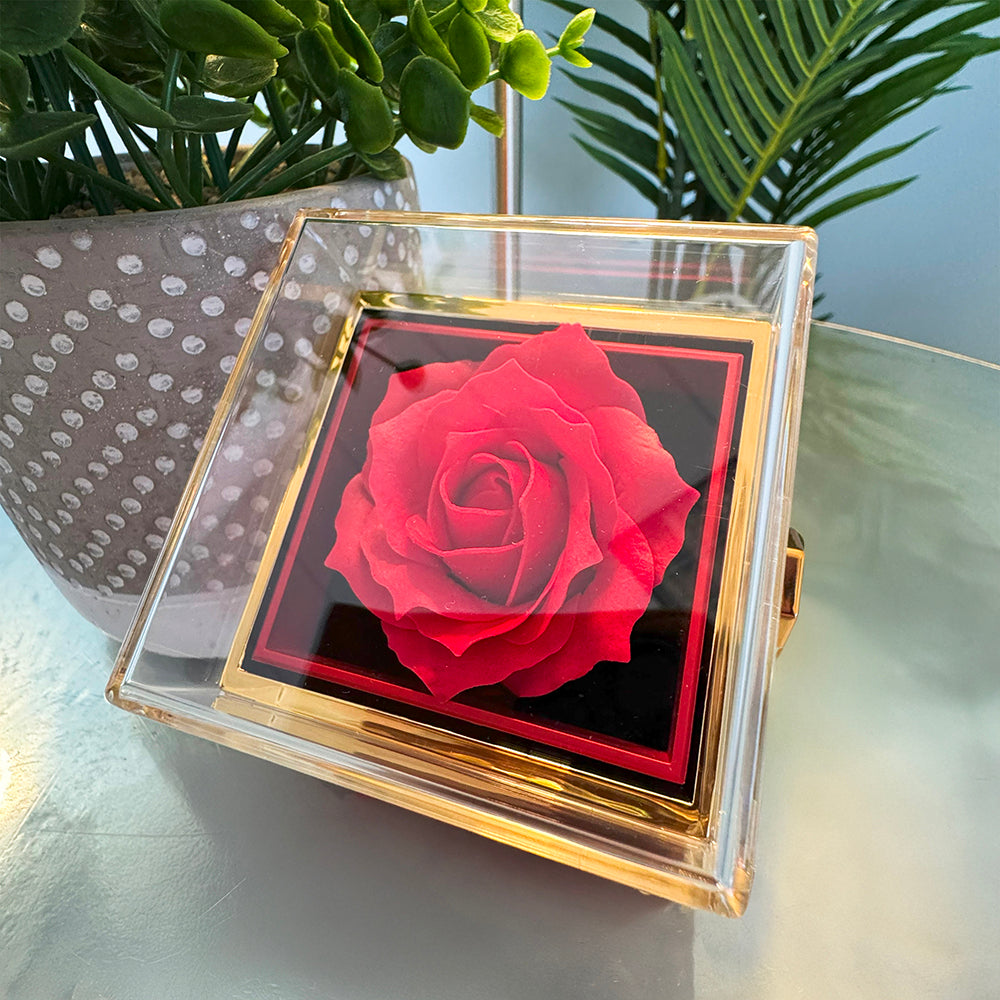 Beauty in Bloom – Alluring Beauty Rotating Rose Box